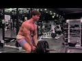 T bar rows + Single arm db rows