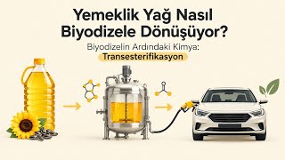 Yemeklik Yağ Nasıl Biyodizele Dönüşüyor? Biyodizelin Ardındaki Kimya: Transester