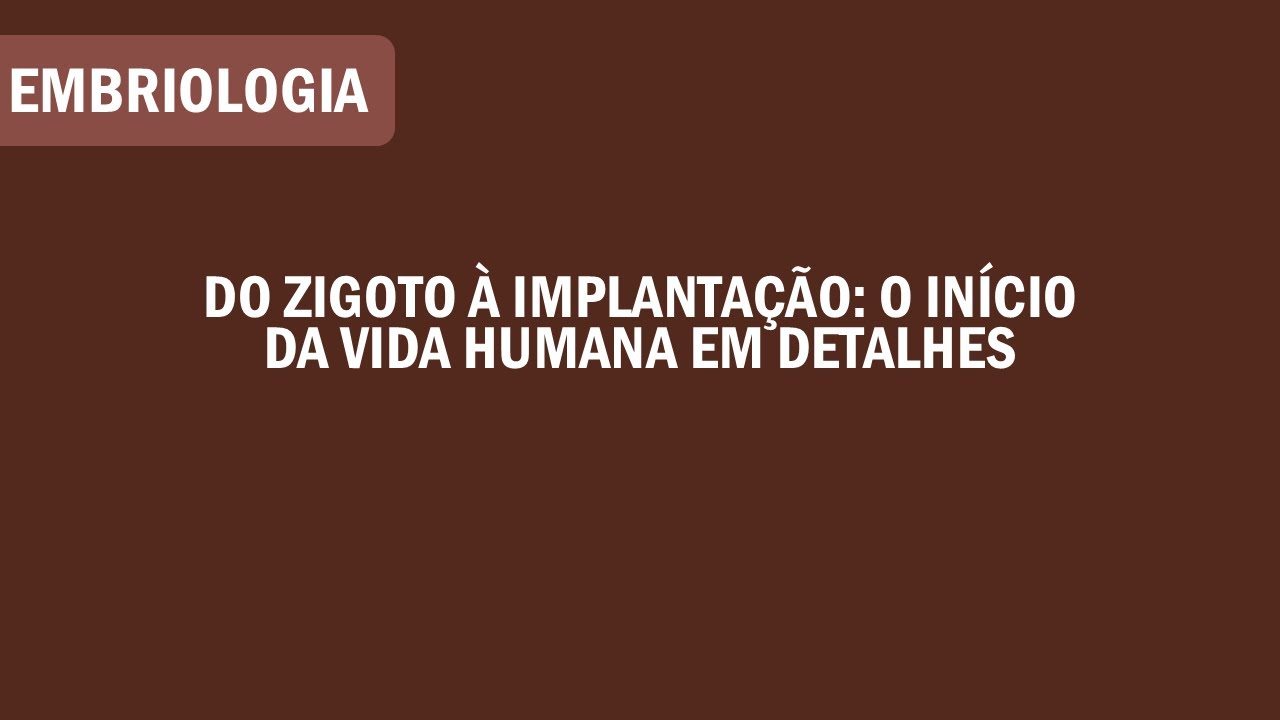 Do Zigoto à Implantação: O Início da Vida Humana em Detalhes