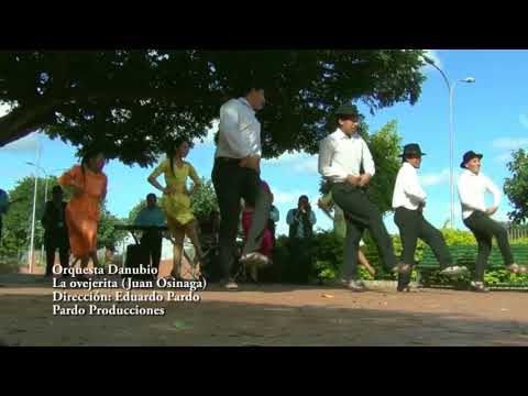 enganchado vallegrandino orquesta Danubio