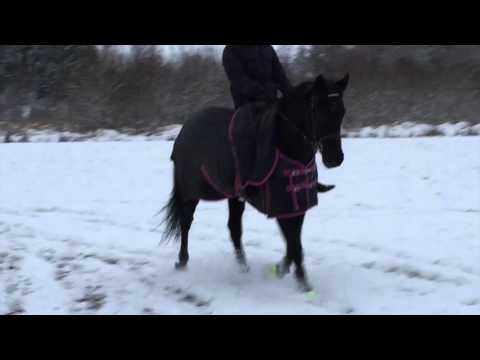 Nina Braaten trening + Økt i snøen