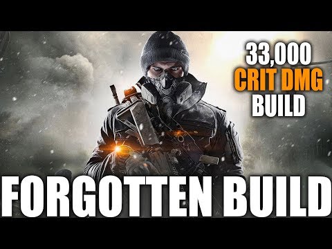 THE DIVISION'S FORGOTTEN BUILD | 33,000 CRITICAL HIT DAMAGE BUILD | A TOP NON-META BUILD