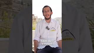 ישיבה בהר הבית?! היה נשמע חלום.. (ישיבת הר הבית) - התמונה מוצגת ישירות מתוך אתר האינטרנט יוטיוב. זכויות היוצרים בתמונה שייכות ליוצרה. קישור קרדיט למקור התוכן נמצא בתוך דף הסרטון