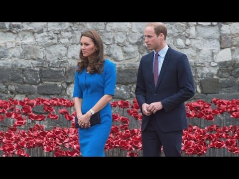 Ring of Wildfires Consuming Yosemite National Park