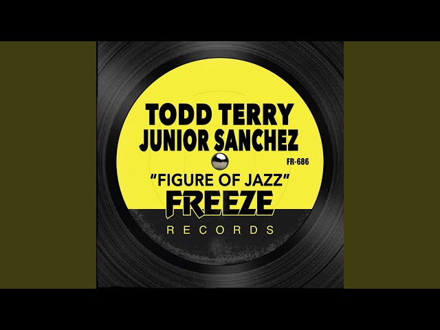 Todo sobre el artista musical Todd Terry