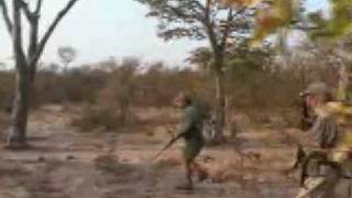 Lion Attacks Safari Hunter