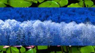 Are you gonna be my girl