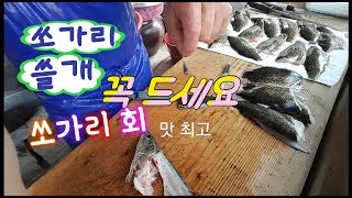 쏘가리 회 뜨는방법 대공개 1편