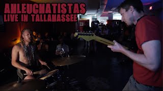 Ahleuchatistas - Live in Tallahassee