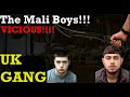 The Mali Boys Inside London S Most Ruthless Street Gang UK Gang Documentary
