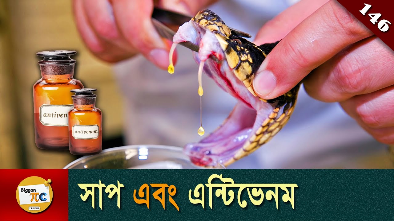 সাপ এবং এন্টিভেনম সমাচার Snake and Antivenom explained in Bangla Ep 146