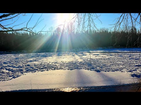 TAURUS ♉ Next 30 days - The temple path