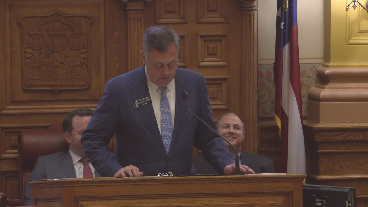Legislative Day 3 of the 2025 Session of the Georgia State Senate