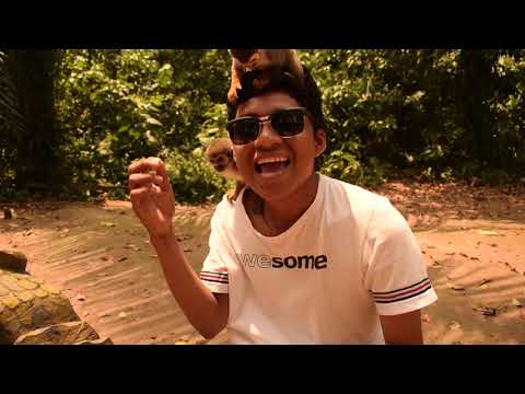 AMA TU TIERRA (AMAZONAS) ALEX DASA & CHRIZBIX-UNIVERSO LIRICAL1080p youtube