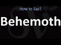 Behemoth, What is the Meaning Of | Pronunciation