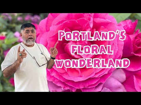 Stunning Rose Garden Tour | Portland, Oregon’s Floral Paradise