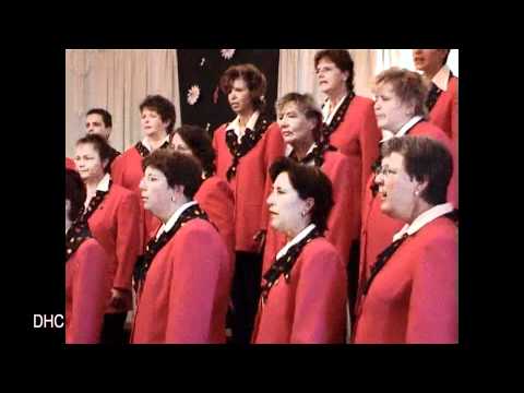 Dietmar-Hahn-Chor  -   Fuchs und Igel