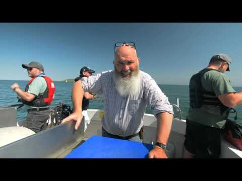 Mackerel Fishing Trip ( Sashimi )
