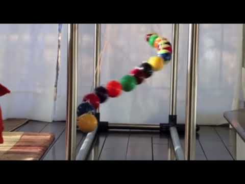El orden en el desorden, pendulo de newton (bolas de billar )