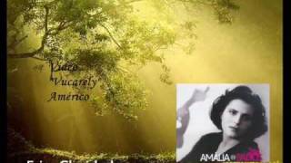 Fria Claridade Lyrics English Translation