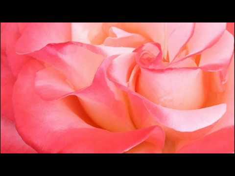 Antonio Vivaldi: Dixit Dominus [psalm 109] in D major (RV 595) - Part III