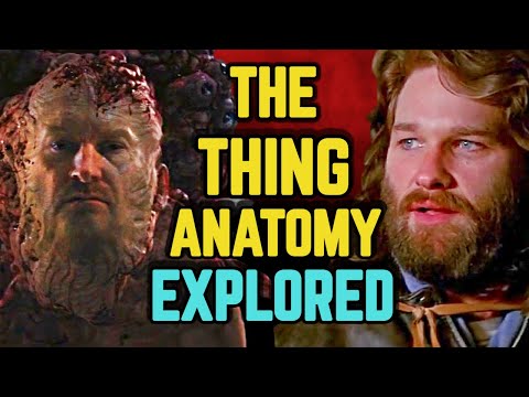 The Thing Anatomy Explored - Reproduction, Where Did It Come From, What Is Their True Form?