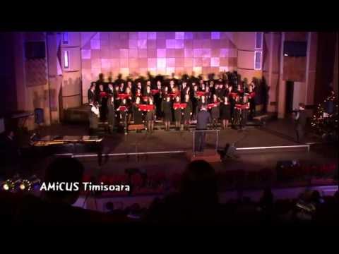 AMiCUS Timisoara - CE DAR I-ADUCEM