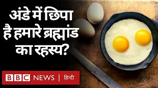 EGG Benefits: अंडे का फंडा, क्या इसमें छिपा है हमारे Universe का रहस्य (BBC Hindi)