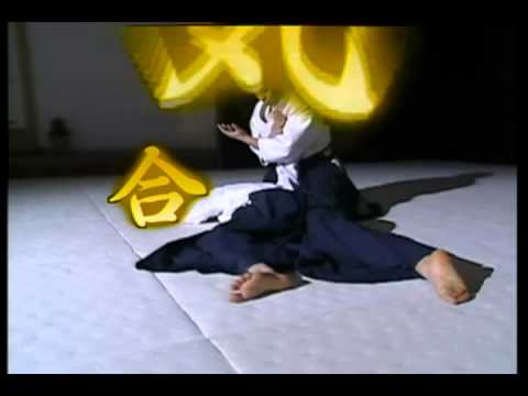 Aikido universite Laval 2012.avi