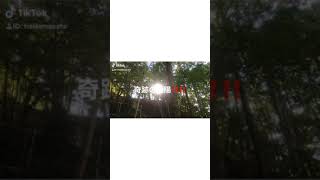 伊那★ジビエ焼肉宿★平家の里日本最強パワースポットで撮影‼️幻の太陽★長野県伊那市ゼロ磁場分杭峠で撮影