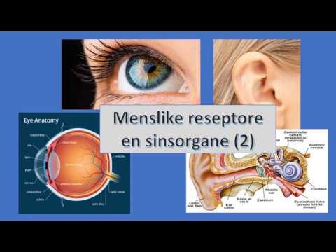 LEWENSWETENSKAP GRAAD 12: 19 Mei 2020 - periode 7 (19127)