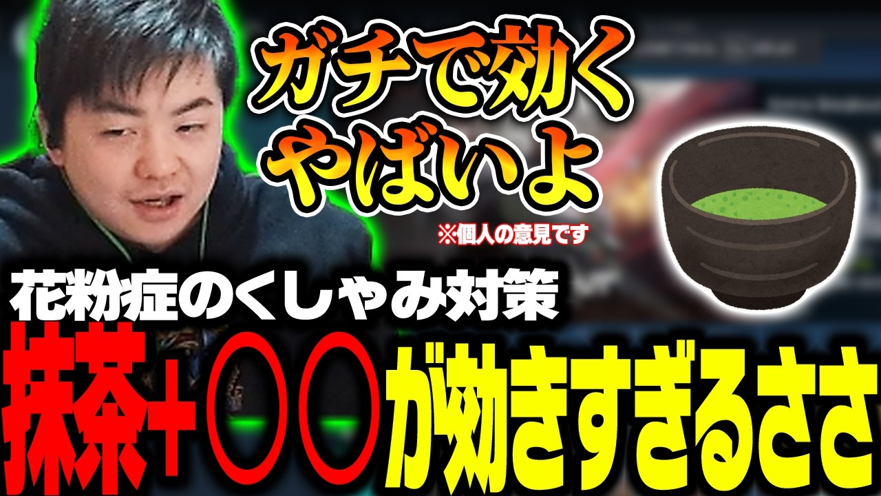 【ささ】抹茶と〇〇が花粉症のくしゃみに効きすぎると熱弁するささ+ツイートの話【雑談】