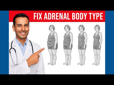 How to Fix the Adrenal Body Type?  Dr. Mike