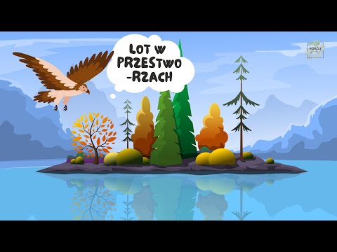 Relaksacja dla dzieci "Lot w przestworzach". BAJKA NA WYCISZENIE