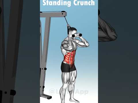 🔥 Top 5 Core Exercises With Cables