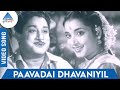 Nichaya Thaamboolam Tamil Movie Songs Paavadai Dhavaniyil Video Song TM Soundararajan MSV TKR