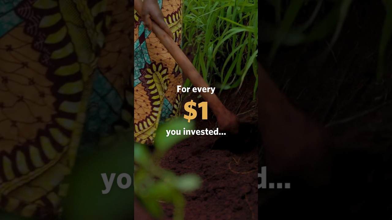 For every $1 you invested