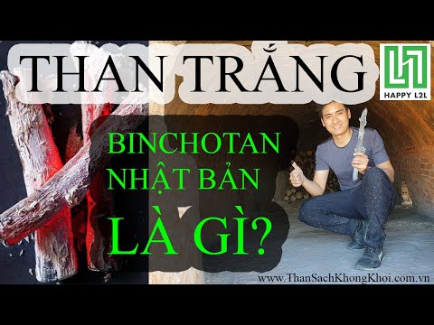 [Happy L2L] Than Trắng Binchotan Nhật Bản Là Gì? | What Is Japanese Binchotan Charcoal ?