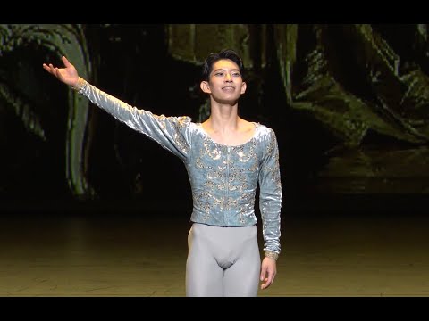 2024 Ballet Stars Swan Lake PARK GEONHEE