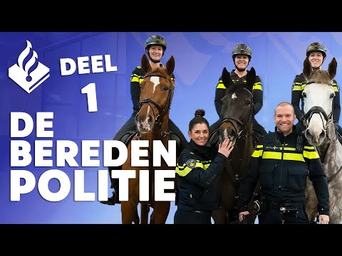 Op stal bij de POLITIE PAARDEN - Boeiend de Podcast