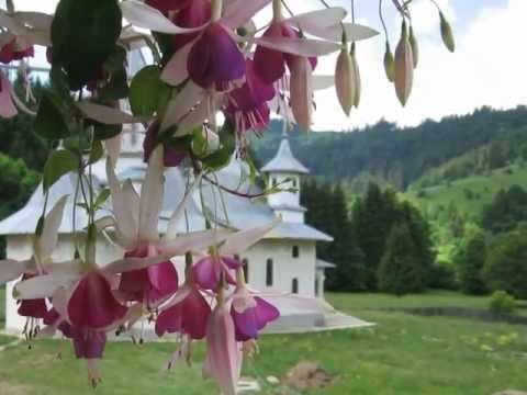 Manastirea "Portarita" Grinties