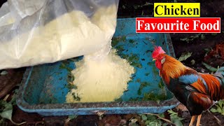 My Aseel Rooster Favourite Food | Aseel Murga | Birds and Animals Planet