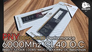 [情報] PNY DDR5裸條顆粒