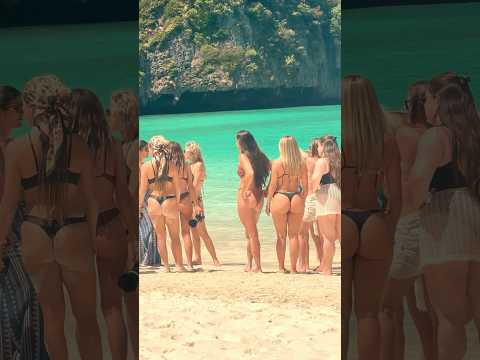 🇹🇭Maya Bay Dream Beach Thailand Summer Holiday 59🦀 #mayabeach #mayabay