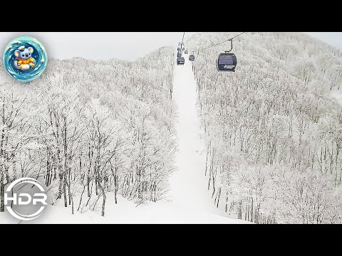 Nozawa onsen snow field.Ski Resort.Bottom to Top to Bottom #walking_tour