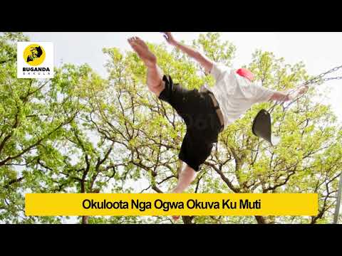 okuloota nga ogwa okuva ku muti  - Ebirooto Namakulu Gaabyo - Buganda Ekkula #Shorts