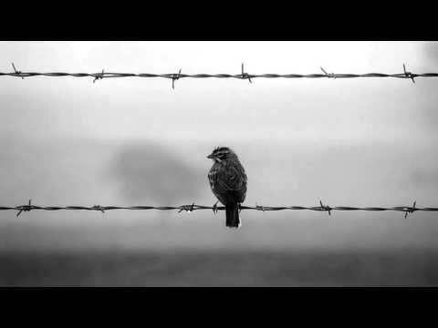 Mahsa Vahdat & Marjan Vahdat - Ha Leyli