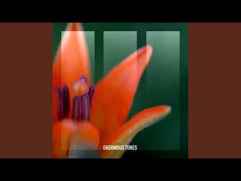 Dare to Dream (Extended Mix)