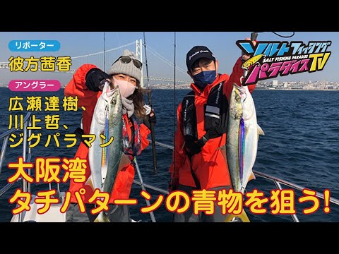 大阪湾 タチパターンの青物を狙う！（ソルパラTV・第67回2022年1月6日放送）