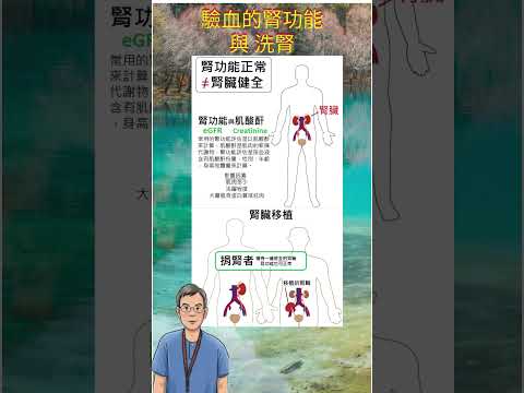 驗血與腎損壞
